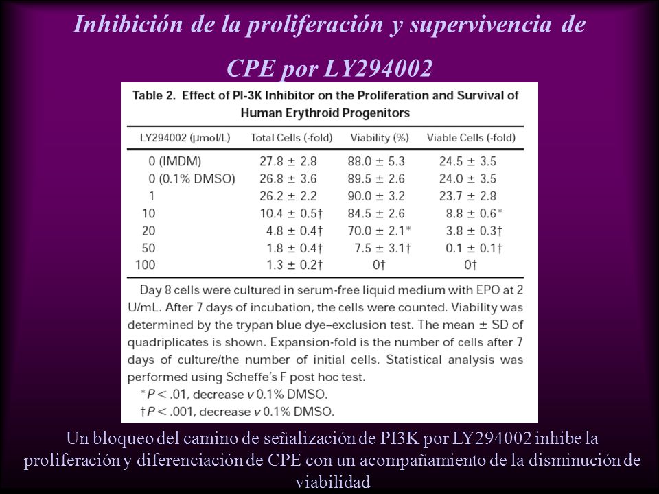 Inhibición de la proliferación y supervivencia de CPE por LY294002