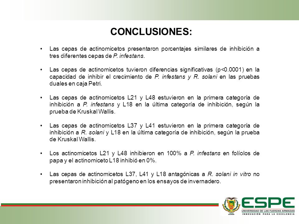 CONCLUSIONES: Las cepas de actinomicetos presentaron porcentajes similares de inhibición a tres diferentes cepas de P. infestans.