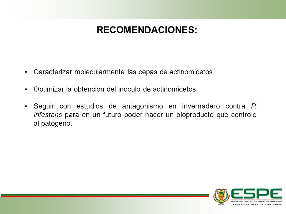 RECOMENDACIONES: Caracterizar molecularmente las cepas de actinomicetos. Optimizar la obtención del inóculo de actinomicetos.