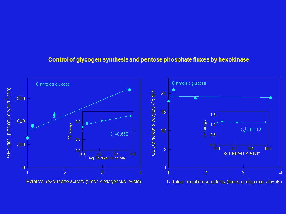 Control of glycogen synthesis and pentose phosphate fluxes by hexokinase