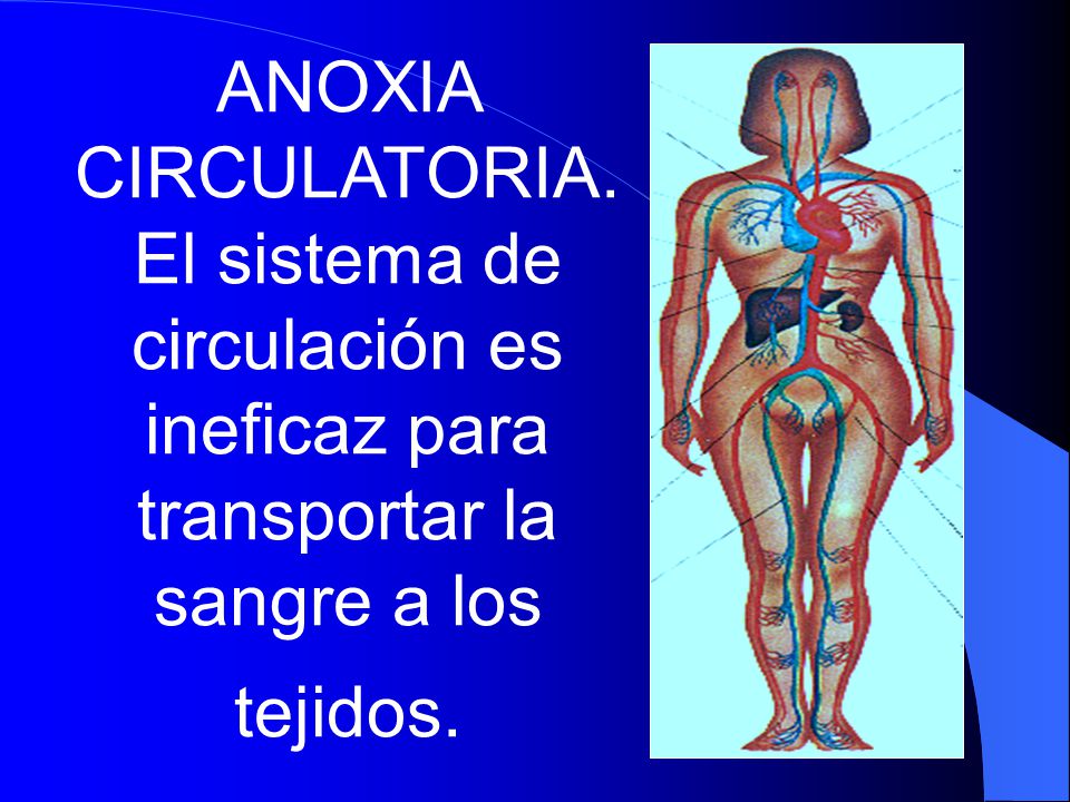 ANOXIA CIRCULATORIA. El sistema de circulación es ineficaz para transportar la sangre a los tejidos.