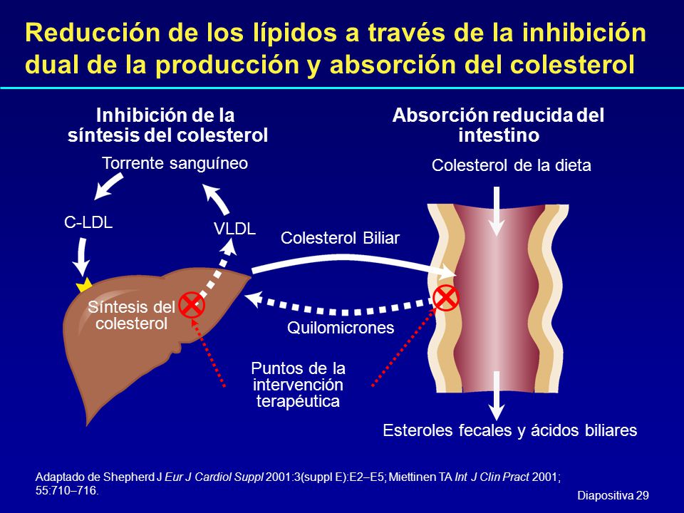 Reducción de los lípidos a través de la inhibición dual de la producción y absorción del colesterol