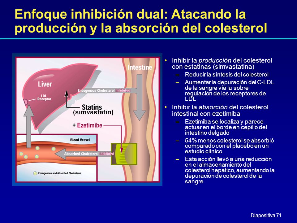 Enfoque inhibición dual: Atacando la producción y la absorción del colesterol