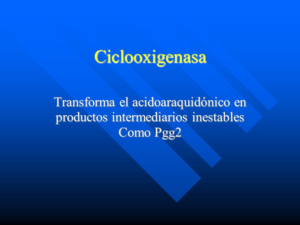 Ciclooxigenasa Transforma el acidoaraquidónico en productos intermediarios inestables Como Pgg2