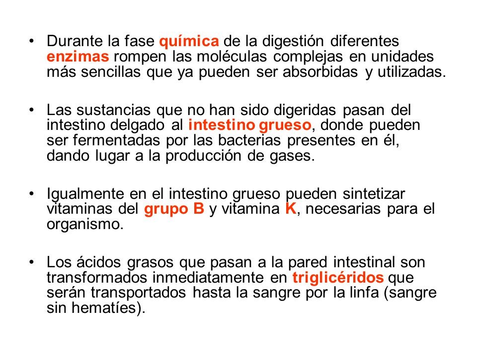 Durante la fase química de la digestión diferentes enzimas rompen las moléculas complejas en unidades más sencillas que ya pueden ser absorbidas y utilizadas.