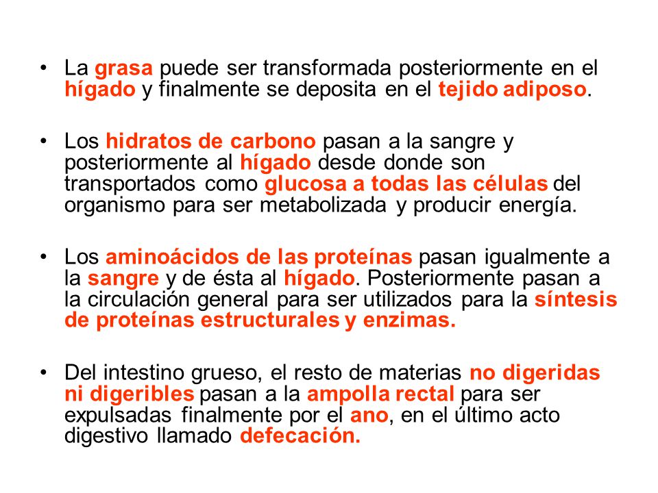 La grasa puede ser transformada posteriormente en el hígado y finalmente se deposita en el tejido adiposo.