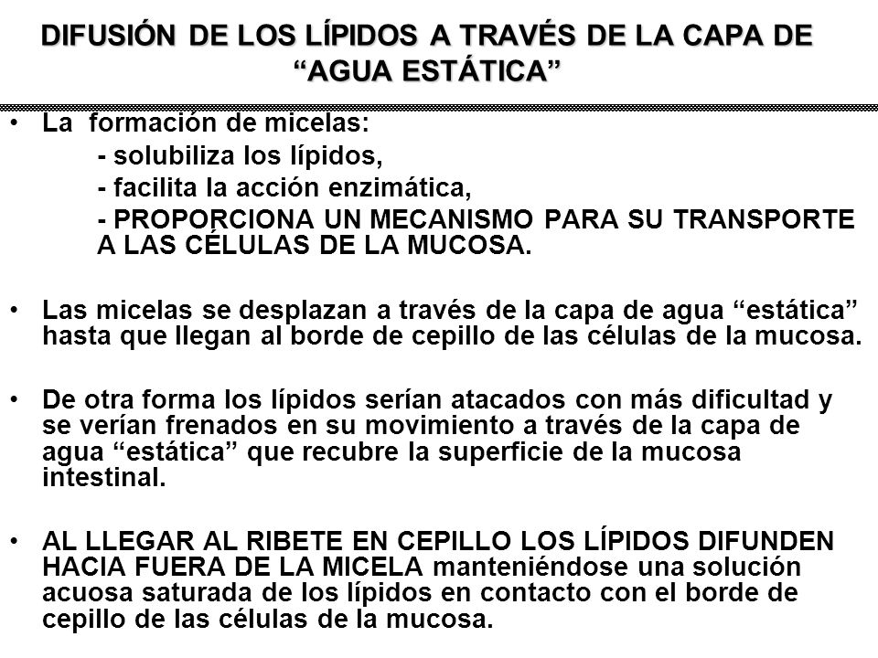 DIFUSIÓN DE LOS LÍPIDOS A TRAVÉS DE LA CAPA DE AGUA ESTÁTICA