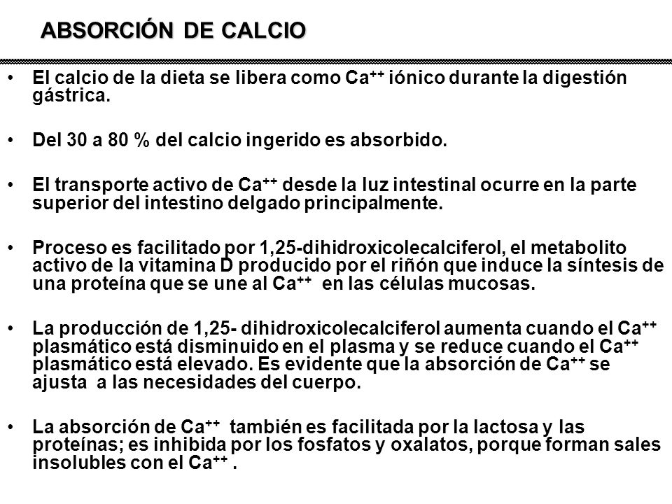 ABSORCIÓN DE CALCIO El calcio de la dieta se libera como Ca++ iónico durante la digestión gástrica.