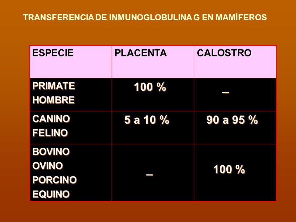 100 % _ 5 a 10 % 90 a 95 % _ 100 % ESPECIE PLACENTA CALOSTRO PRIMATE