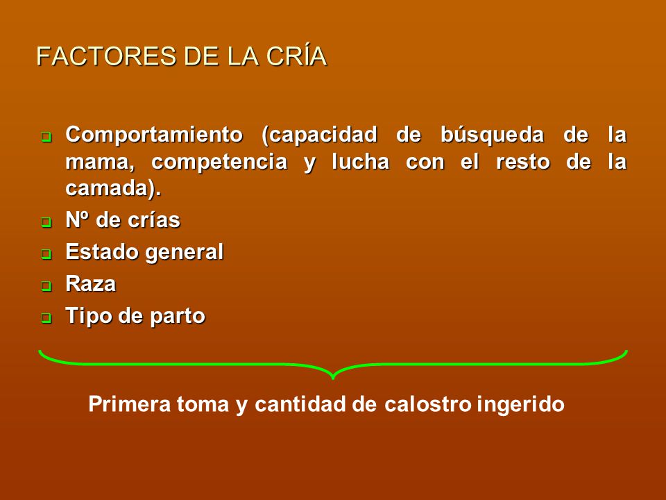 FACTORES DE LA CRÍA Comportamiento (capacidad de búsqueda de la mama, competencia y lucha con el resto de la camada).