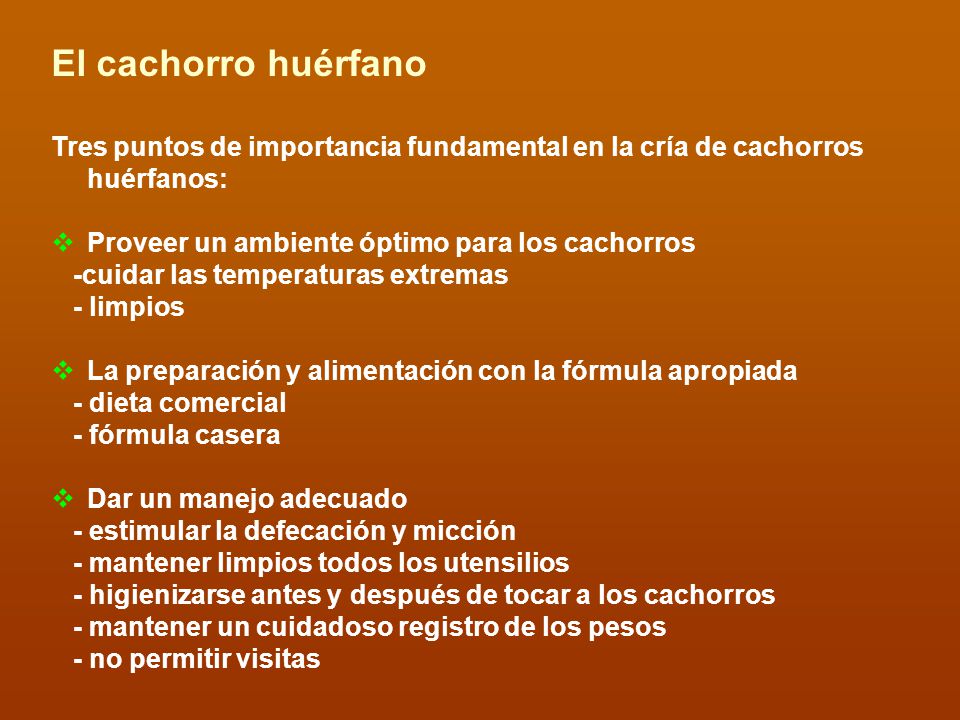 El cachorro huérfano Tres puntos de importancia fundamental en la cría de cachorros huérfanos: Proveer un ambiente óptimo para los cachorros.