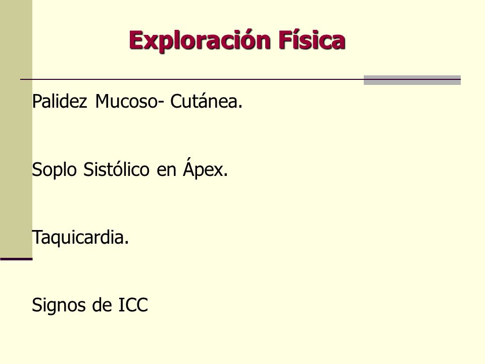 Exploración Física Palidez Mucoso- Cutánea. Soplo Sistólico en Ápex.