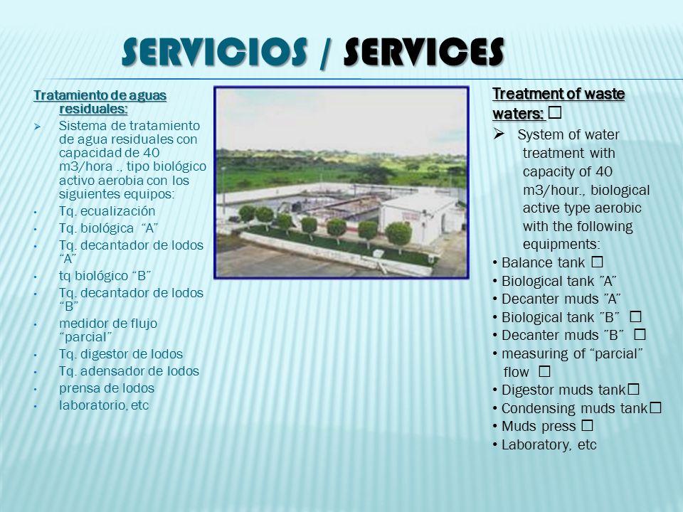 Servicios / Services System of water Treatment of waste waters: 