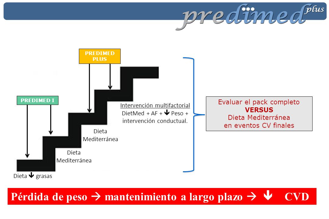 Pérdida de peso  mantenimiento a largo plazo   CVD