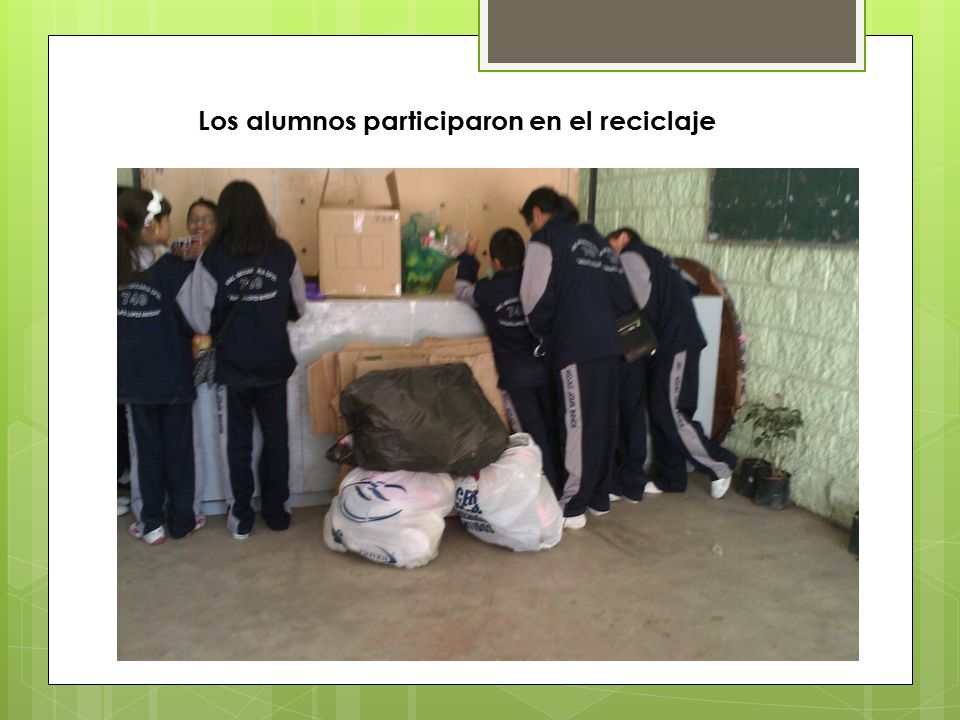 Los alumnos participaron en el reciclaje
