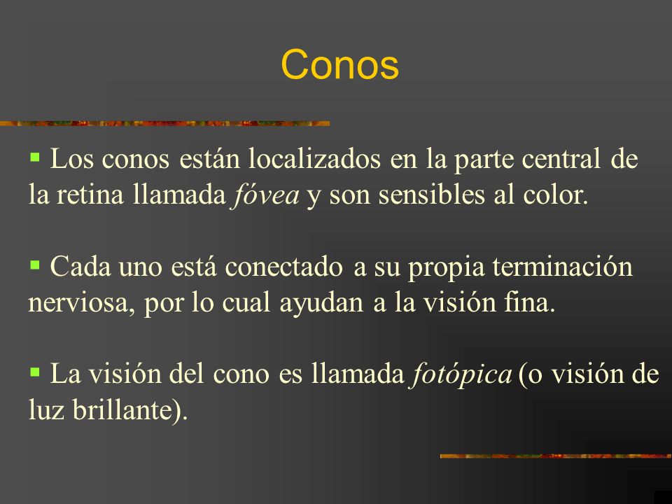 Conos Los conos están localizados en la parte central de la retina llamada fóvea y son sensibles al color.