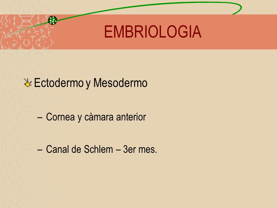 EMBRIOLOGIA Ectodermo y Mesodermo Cornea y càmara anterior