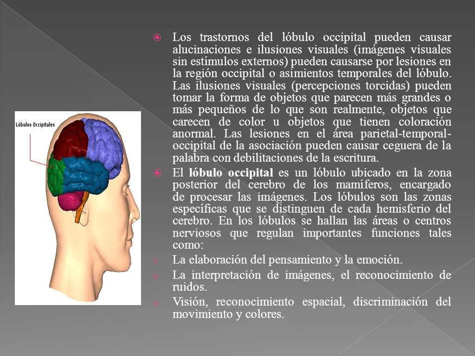 Los trastornos del lóbulo occipital pueden causar alucinaciones e ilusiones visuales (imágenes visuales sin estímulos externos) pueden causarse por lesiones en la región occipital o asimientos temporales del lóbulo. Las ilusiones visuales (percepciones torcidas) pueden tomar la forma de objetos que parecen más grandes o más pequeños de lo que son realmente, objetos que carecen de color u objetos que tienen coloración anormal. Las lesiones en el área parietal-temporal-occipital de la asociación pueden causar ceguera de la palabra con debilitaciones de la escritura.