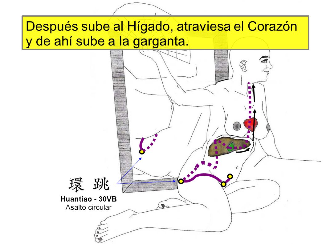 Después sube al Hígado, atraviesa el Corazón y de ahí sube a la garganta.