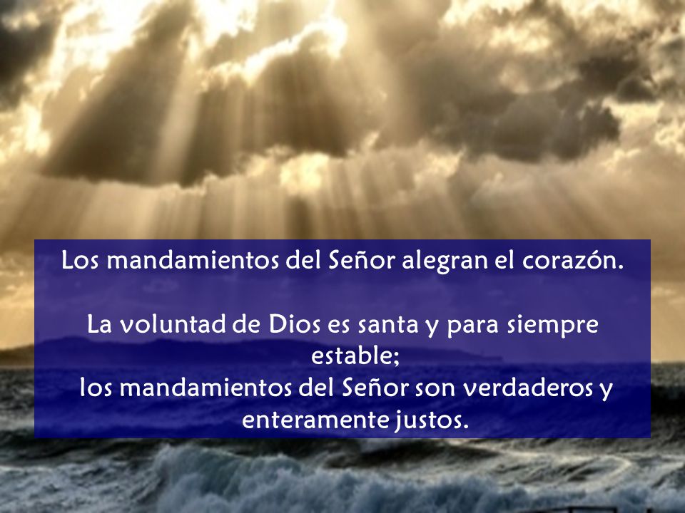 Los mandamientos del Señor alegran el corazón.