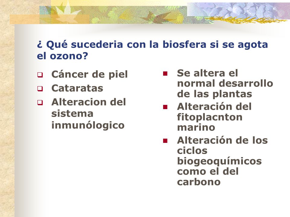 ¿ Qué sucederia con la biosfera si se agota el ozono