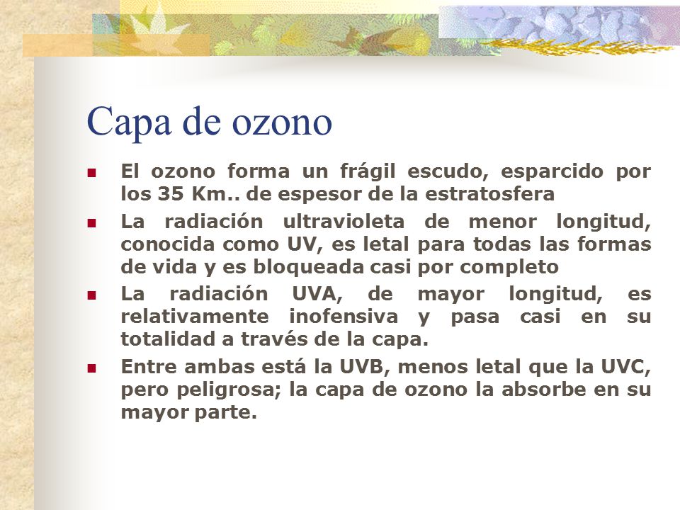 Capa de ozono El ozono forma un frágil escudo, esparcido por los 35 Km.. de espesor de la estratosfera.
