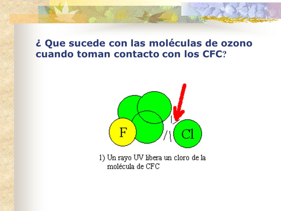 ¿ Que sucede con las moléculas de ozono cuando toman contacto con los CFC