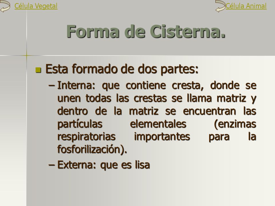 Forma de Cisterna. Esta formado de dos partes:
