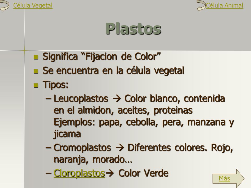 Plastos Significa Fijacion de Color
