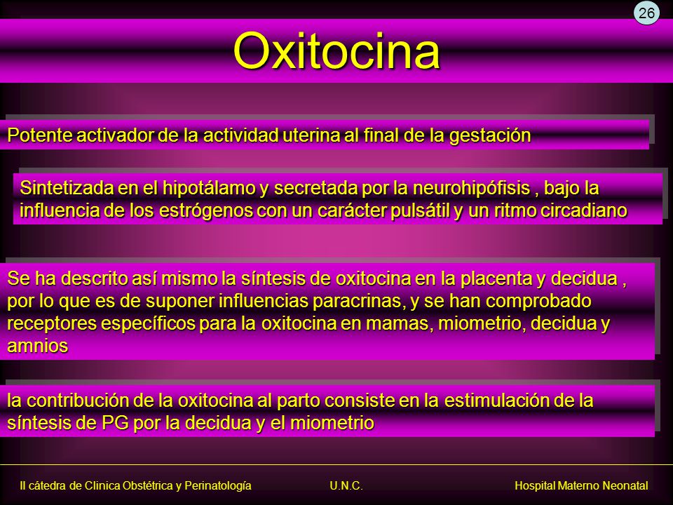 26 Oxitocina. Potente activador de la actividad uterina al final de la gestación.