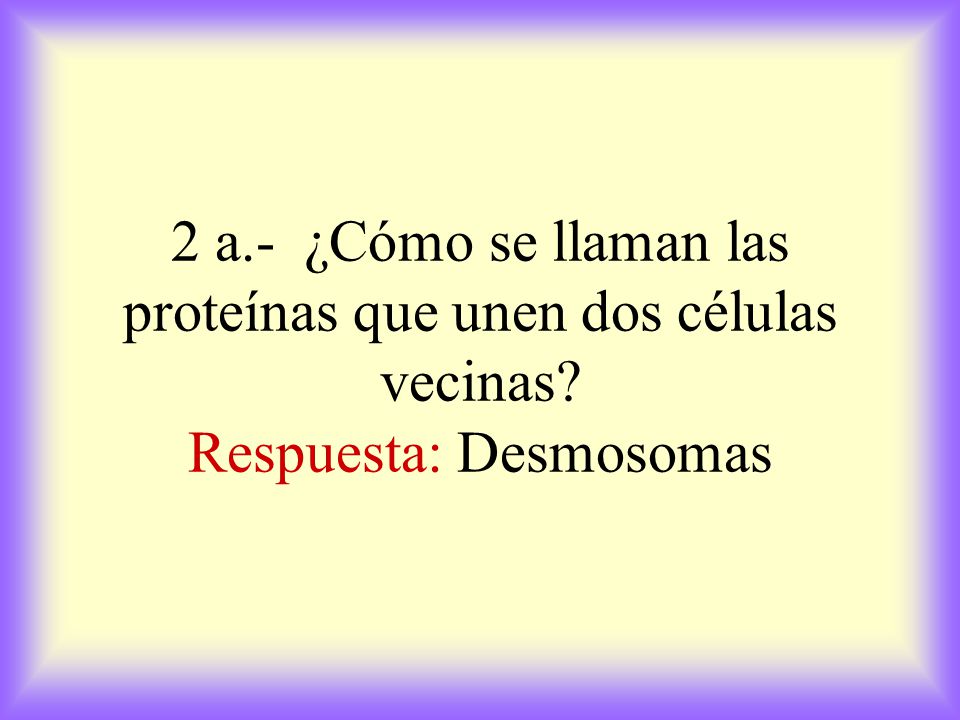 2 a. - ¿Cómo se llaman las proteínas que unen dos células vecinas