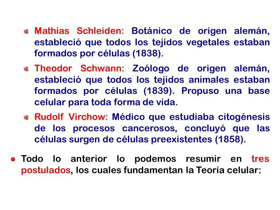 Mathias Schleiden: Botánico de origen alemán, estableció que todos los tejidos vegetales estaban formados por células (1838).
