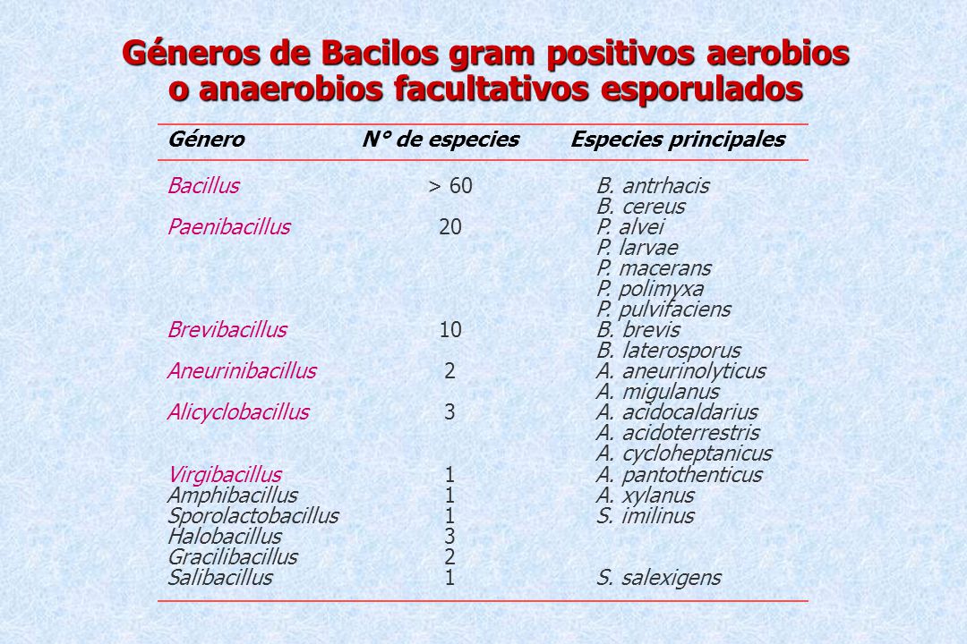 Géneros de Bacilos gram positivos aerobios o anaerobios facultativos esporulados