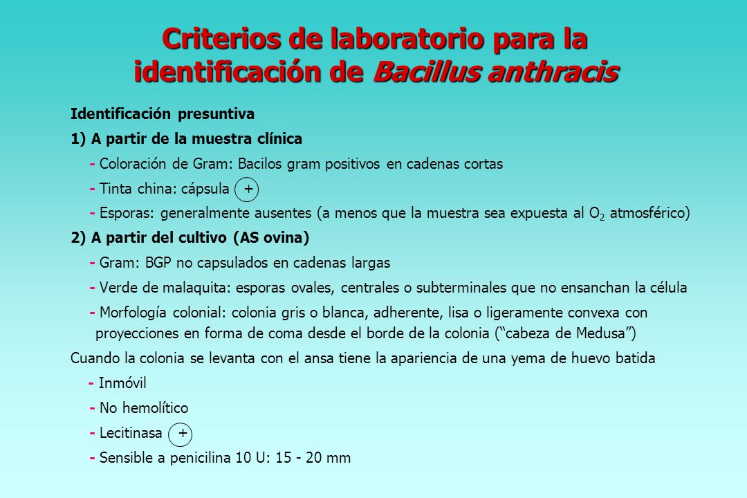 Criterios de laboratorio para la identificación de Bacillus anthracis