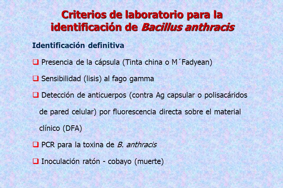 Criterios de laboratorio para la identificación de Bacillus anthracis