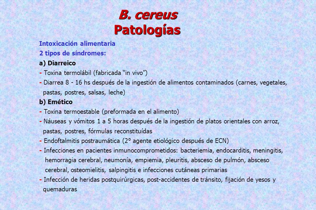 B. cereus Patologías Intoxicación alimentaria 2 tipos de síndromes: