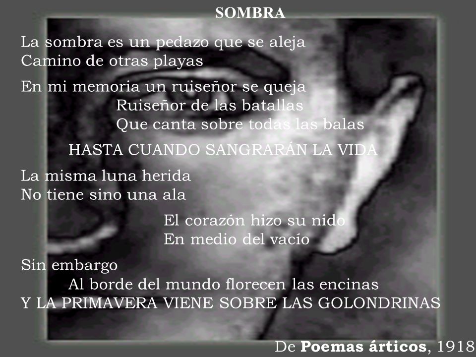 SOMBRA La sombra es un pedazo que se aleja Camino de otras playas.