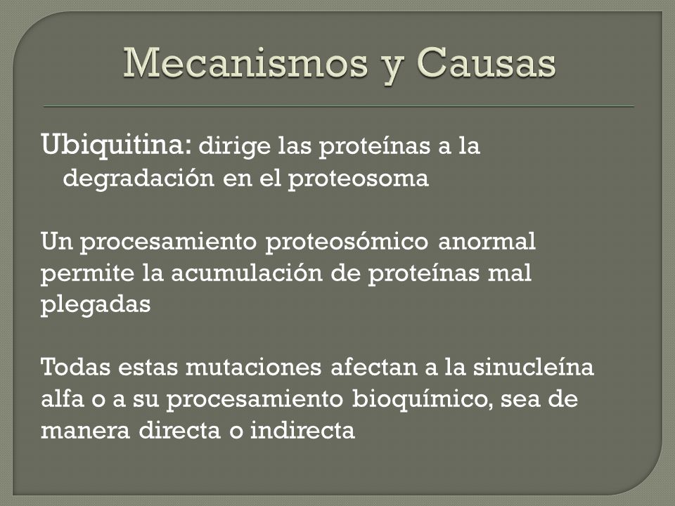 Mecanismos y Causas Ubiquitina: dirige las proteínas a la degradación en el proteosoma.