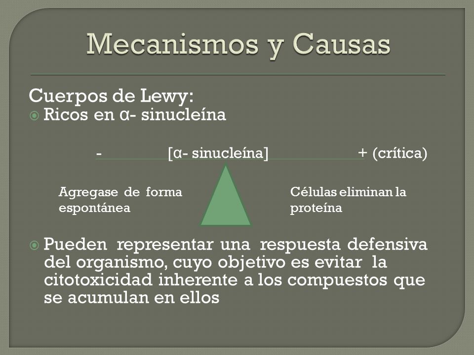 Mecanismos y Causas Cuerpos de Lewy: Ricos en α- sinucleína