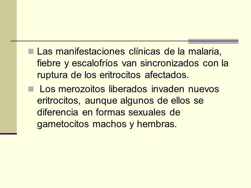 Las manifestaciones clínicas de la malaria, fiebre y escalofríos van sincronizados con la ruptura de los eritrocitos afectados.