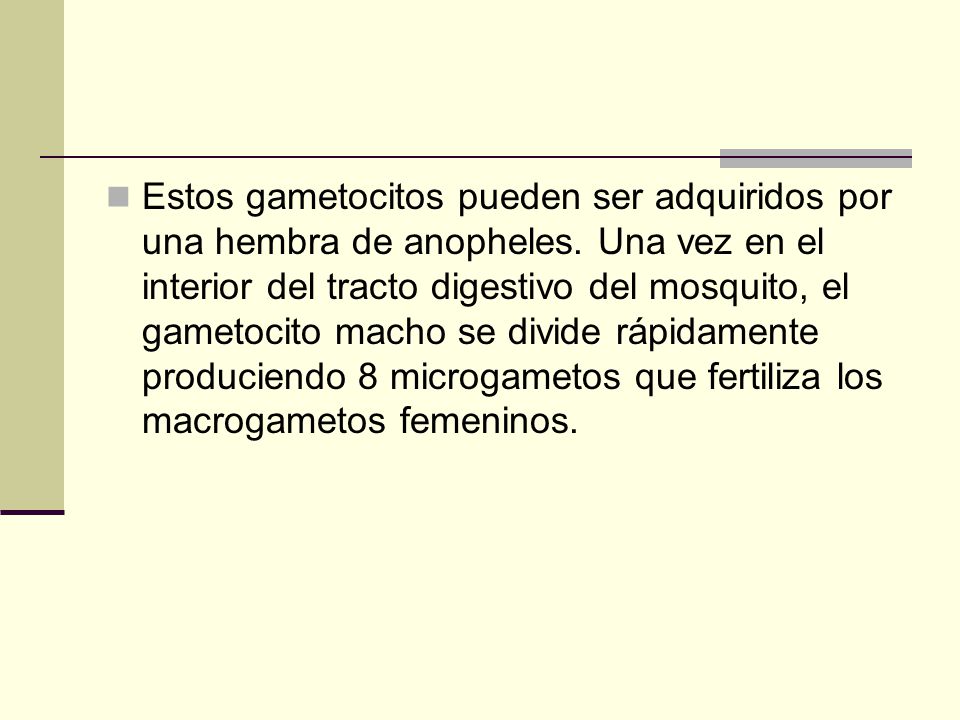 Estos gametocitos pueden ser adquiridos por una hembra de anopheles