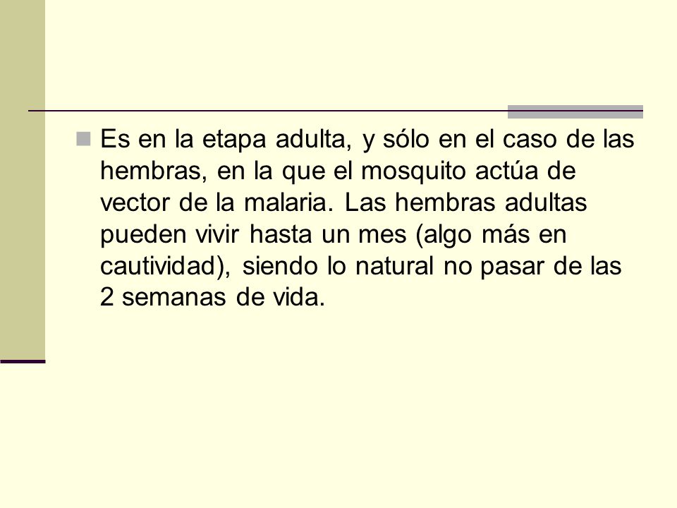 Es en la etapa adulta, y sólo en el caso de las hembras, en la que el mosquito actúa de vector de la malaria.