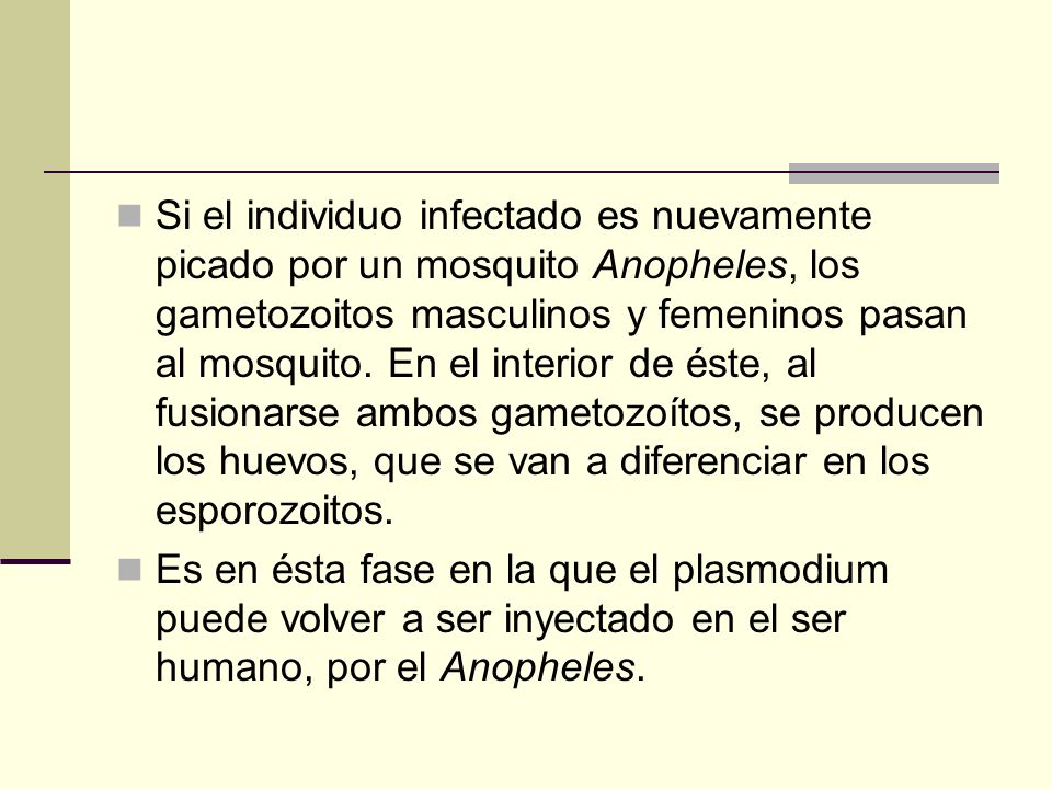 Si el individuo infectado es nuevamente picado por un mosquito Anopheles, los gametozoitos masculinos y femeninos pasan al mosquito. En el interior de éste, al fusionarse ambos gametozoítos, se producen los huevos, que se van a diferenciar en los esporozoitos.