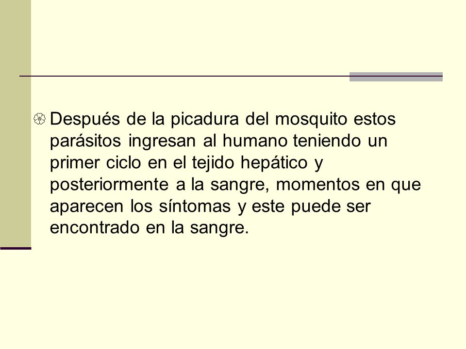 Después de la picadura del mosquito estos parásitos ingresan al humano teniendo un primer ciclo en el tejido hepático y posteriormente a la sangre, momentos en que aparecen los síntomas y este puede ser encontrado en la sangre.