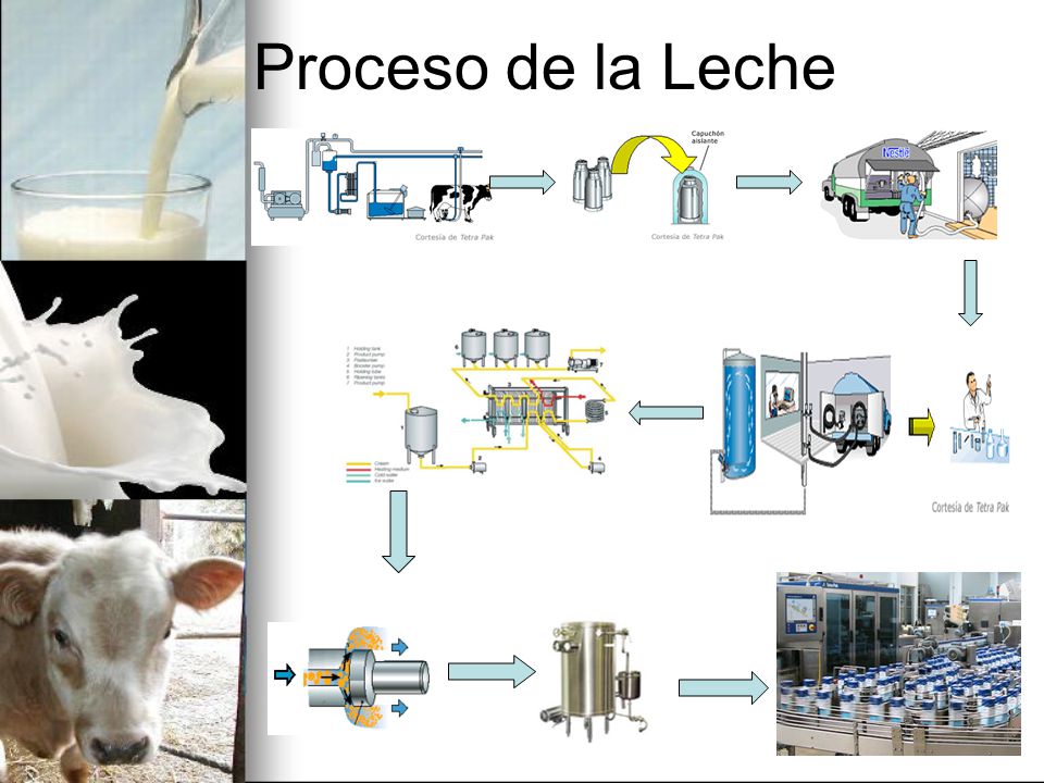 Proceso de la Leche