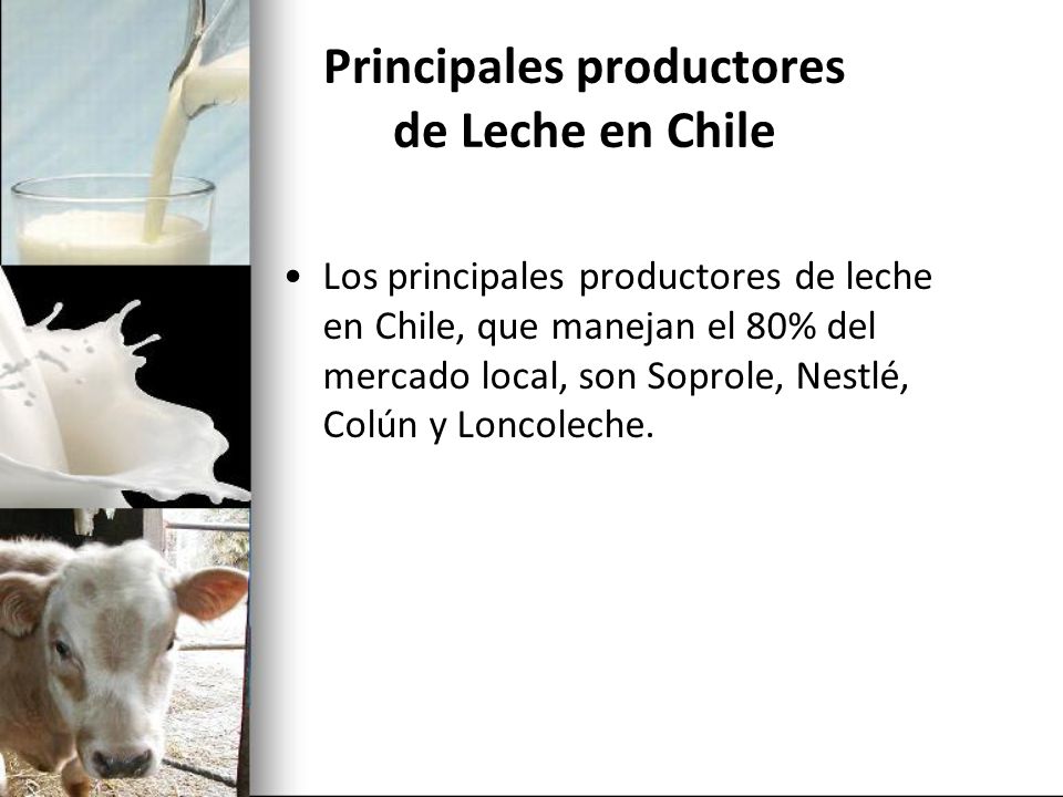 Principales productores de Leche en Chile