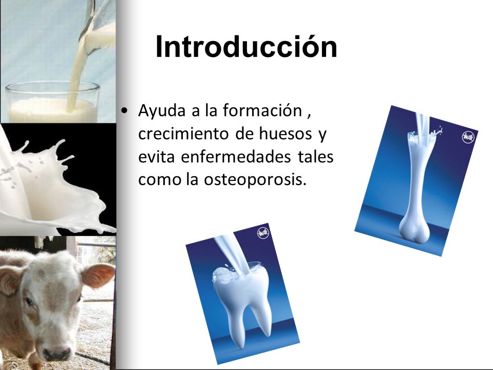 Introducción Ayuda a la formación , crecimiento de huesos y evita enfermedades tales como la osteoporosis.