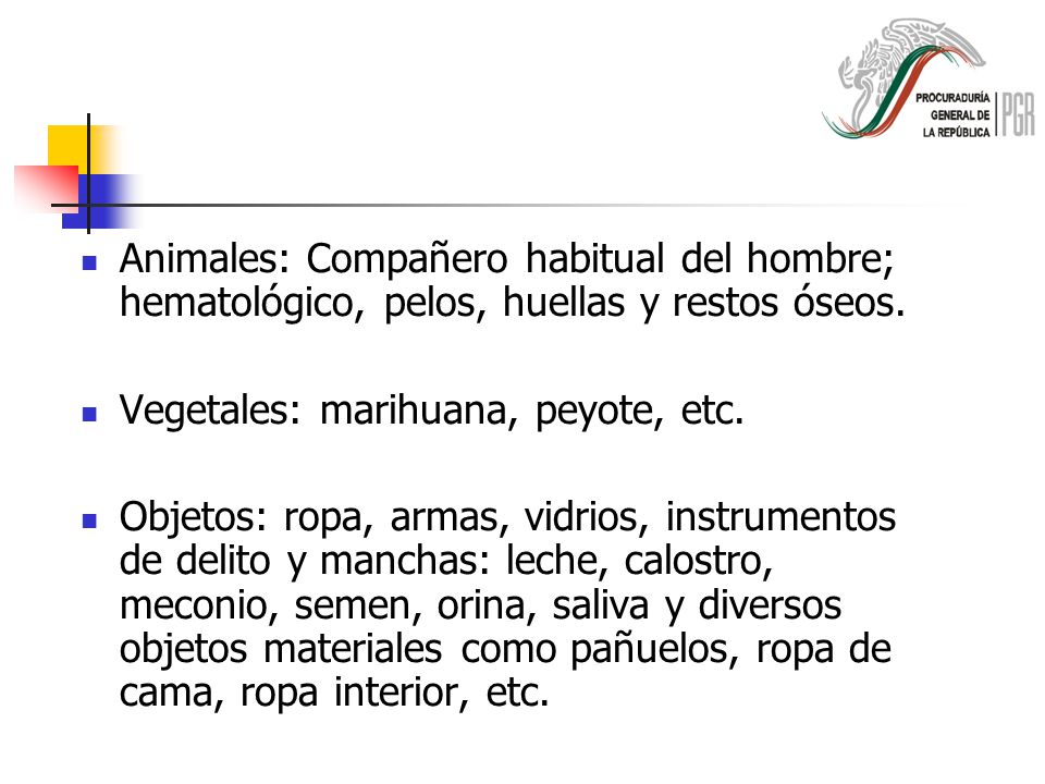 Animales: Compañero habitual del hombre; hematológico, pelos, huellas y restos óseos.
