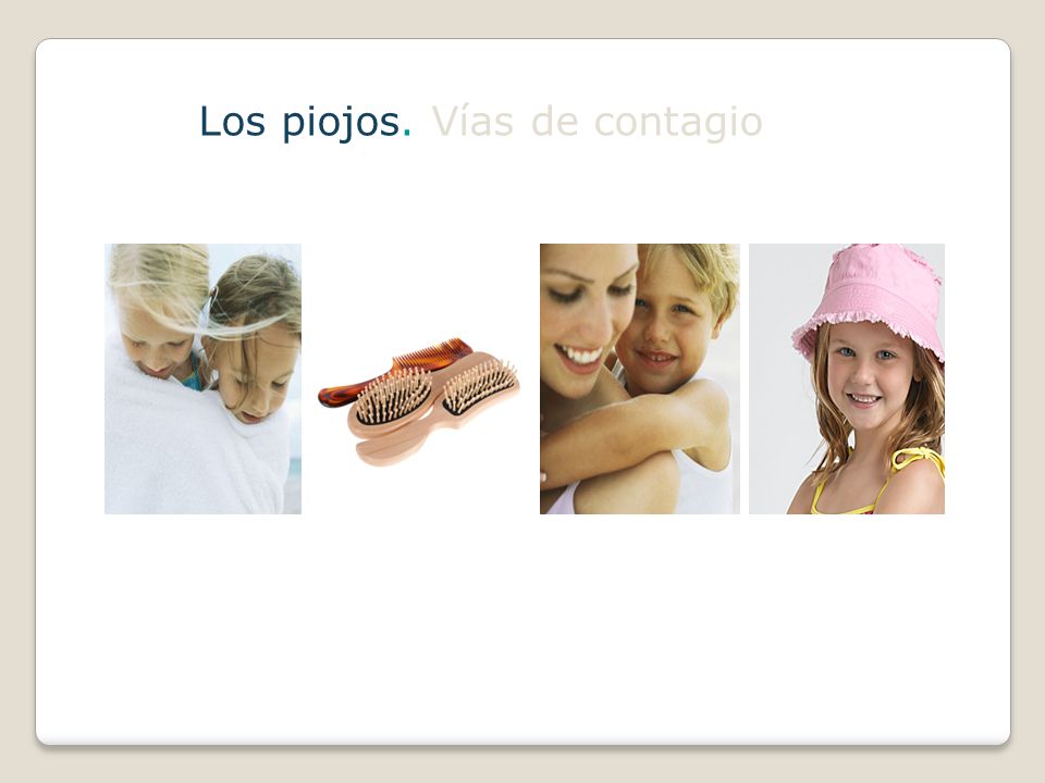 Los piojos. Vías de contagio