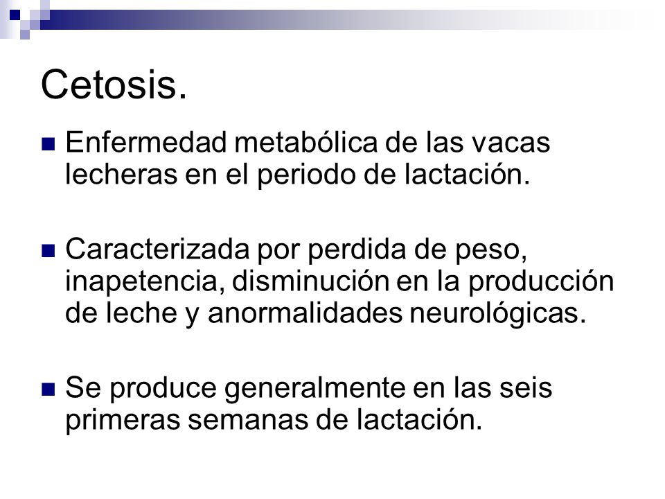 Cetosis. Enfermedad metabólica de las vacas lecheras en el periodo de lactación.